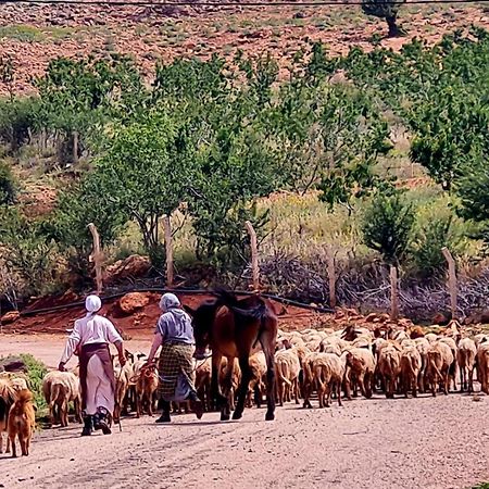 Ferme D"Hote Lala Fatima Ain Leuh Exteriör bild