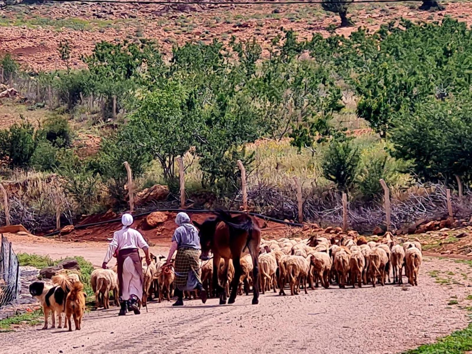 Ferme D"Hote Lala Fatima Ain Leuh Exteriör bild